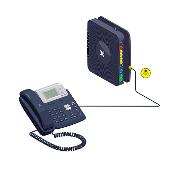 IP with Internet Box